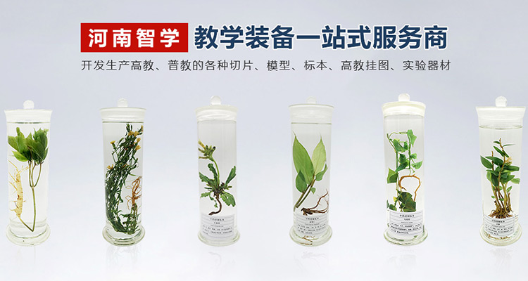 新鄉(xiāng)市路峰建材有限公司